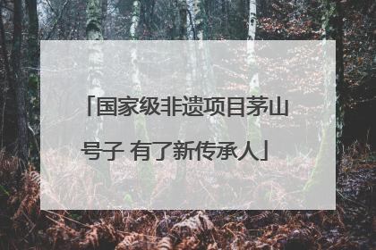 国家级非遗项目茅山号子 有了新传承人