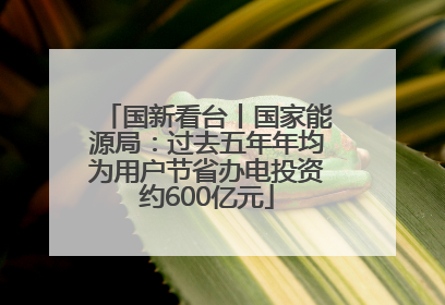 国新看台丨国家能源局：过去五年年均为用户节省办电投资约600亿元