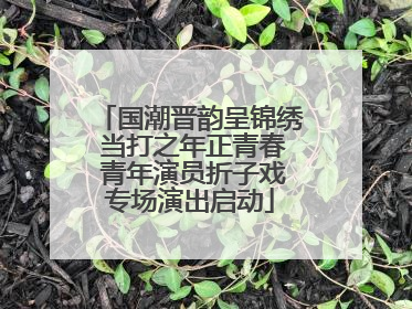 国潮晋韵呈锦绣 当打之年正青春 青年演员折子戏专场演出启动