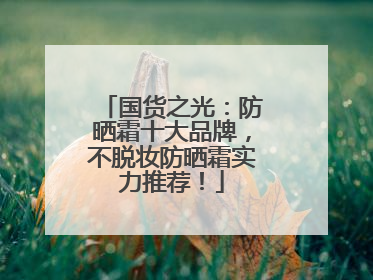 国货之光：防晒霜十大品牌，不脱妆防晒霜实力推荐！