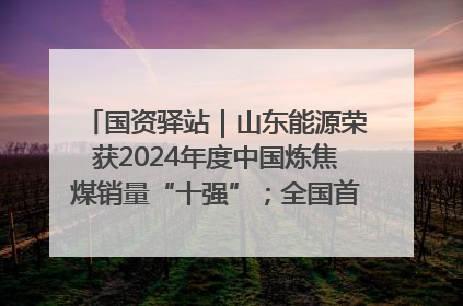 国资驿站｜山东能源荣获2024年度中国炼焦煤销量“十强”；全国首例铁路盖上智慧物流园钢结构主体完工