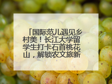 国际范儿遇见乡村美！长江大学留学生打卡石首桃花山，解锁农文旅新玩法！