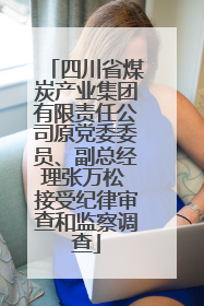 四川省煤炭产业集团有限责任公司原党委委员、副总经理张万松 接受纪律审查和监察调查