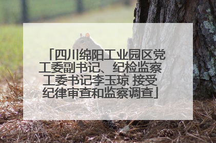 四川绵阳工业园区党工委副书记、纪检监察工委书记李玉琼 接受纪律审查和监察调查