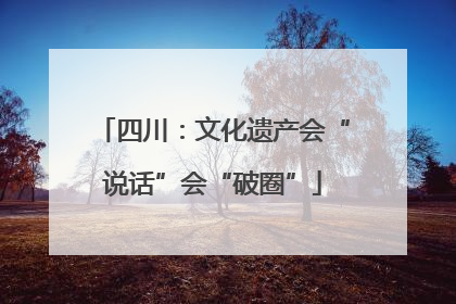 四川：文化遗产会“说话”会“破圈”