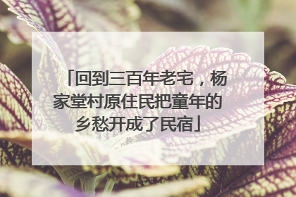回到三百年老宅，杨家堂村原住民把童年的乡愁开成了民宿