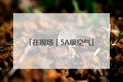 在现场｜5A级空气