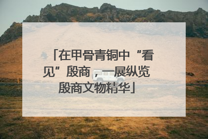 在甲骨青铜中“看见”殷商，一展纵览殷商文物精华