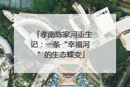 孝南陈家河重生记：一条“幸福河”的生态蝶变