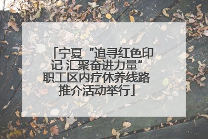 宁夏“追寻红色印记 汇聚奋进力量”职工区内疗休养线路推介活动举行