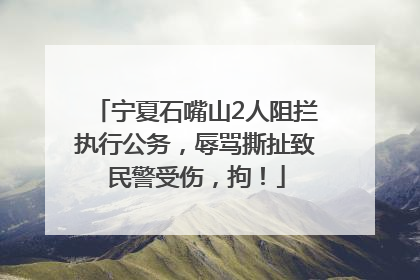 宁夏石嘴山2人阻拦执行公务，辱骂撕扯致民警受伤，拘！
