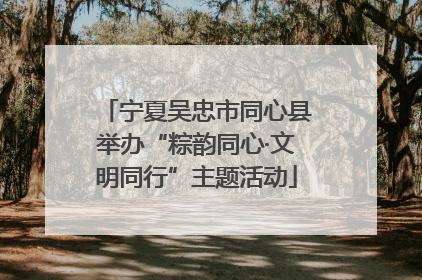 宁夏吴忠市同心县举办“粽韵同心·文明同行”主题活动