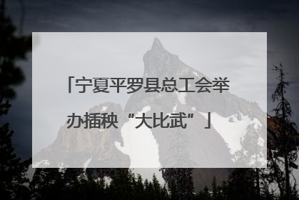 宁夏平罗县总工会举办插秧“大比武”