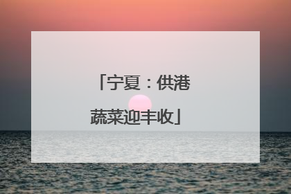 宁夏：供港蔬菜迎丰收