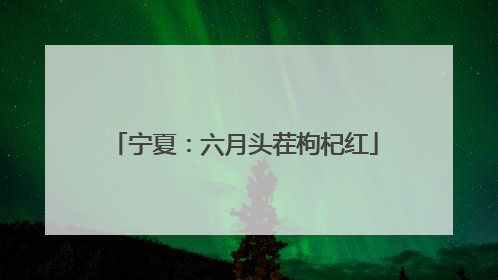 宁夏：六月头茬枸杞红