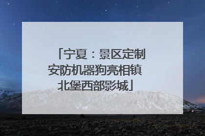 宁夏：景区定制安防机器狗亮相镇北堡西部影城