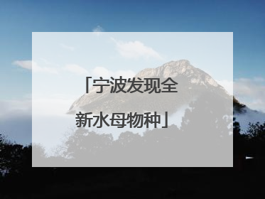 宁波发现全新水母物种