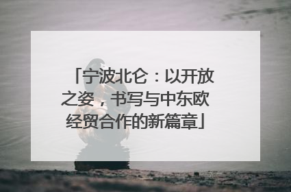 宁波北仑：以开放之姿，书写与中东欧经贸合作的新篇章