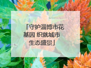 守护淄博市花基因 织就城市生态盛景