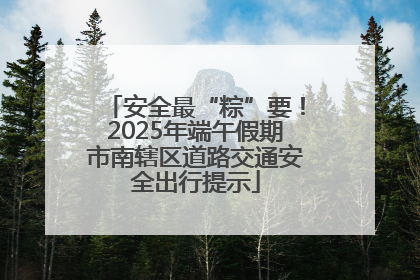 安全最“粽”要！2025年端午假期市南辖区道路交通安全出行提示