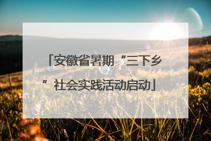 安徽省暑期“三下乡”社会实践活动启动