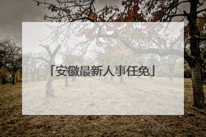 安徽最新人事任免