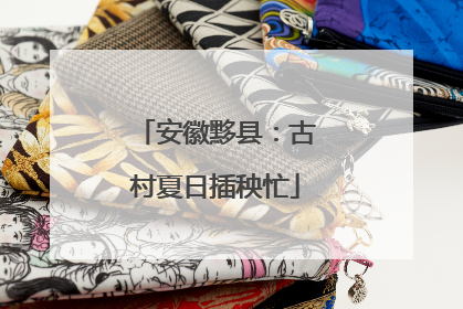 安徽黟县：古村夏日插秧忙