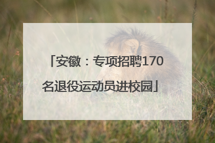 安徽：专项招聘170名退役运动员进校园