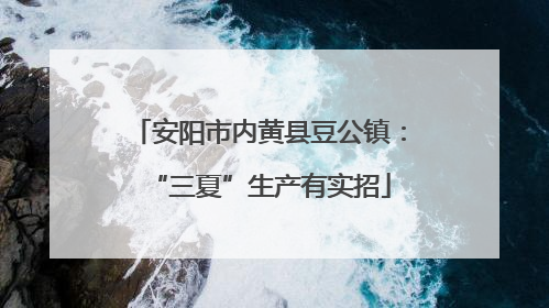 安阳市内黄县豆公镇：“三夏”生产有实招