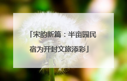 宋韵新篇：半亩园民宿为开封文旅添彩