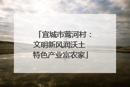 宜城市莺河村：文明新风润沃土 特色产业富农家