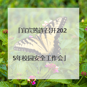 宜宾筠连召开2025年校园安全工作会