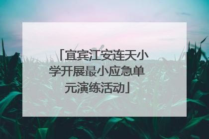 宜宾江安连天小学开展最小应急单元演练活动