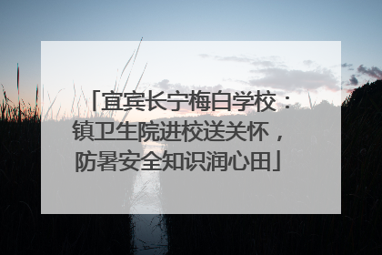 宜宾长宁梅白学校：镇卫生院进校送关怀，防暑安全知识润心田