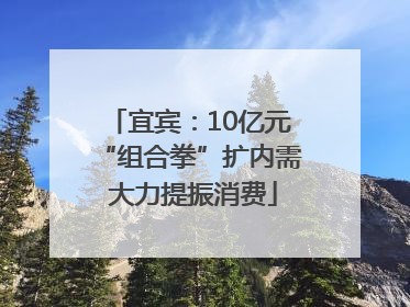 宜宾：10亿元“组合拳”扩内需 大力提振消费