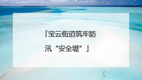 宝云街道筑牢防汛“安全堤”