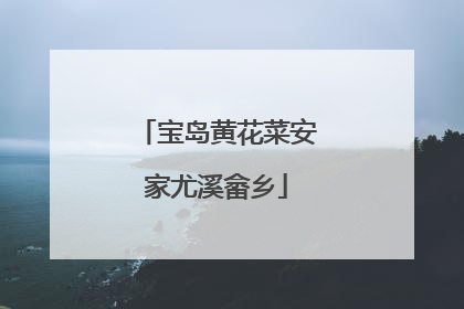 宝岛黄花菜安家尤溪畲乡