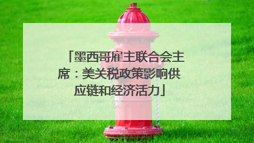 墨西哥雇主联合会主席：美关税政策影响供应链和经济活力