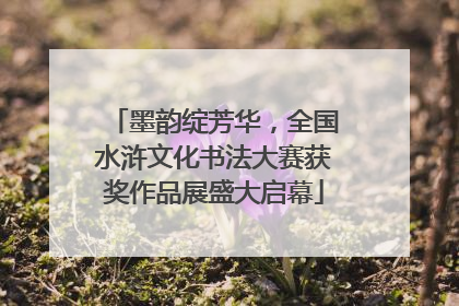 墨韵绽芳华，全国水浒文化书法大赛获奖作品展盛大启幕
