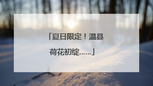 夏日限定！温县荷花初绽……