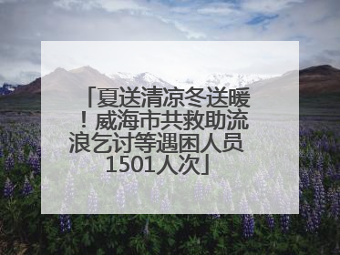 夏送清凉冬送暖！威海市共救助流浪乞讨等遇困人员1501人次