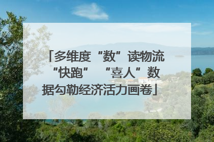 多维度“数”读物流“快跑” “喜人”数据勾勒经济活力画卷