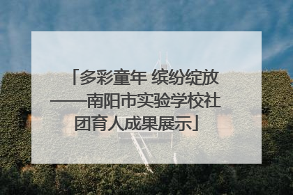 多彩童年 缤纷绽放——南阳市实验学校社团育人成果展示