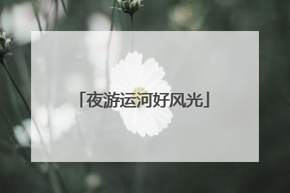 夜游运河好风光