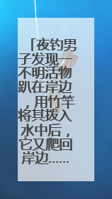 夜钓男子发现一不明活物趴在岸边，用竹竿将其拨入水中后，它又爬回岸边……