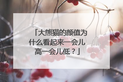 大熊猫的颜值为什么看起来一会儿高一会儿低？