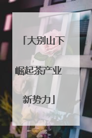 大别山下崛起茶产业新势力