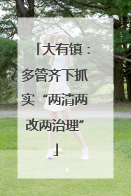 大有镇：多管齐下抓实“两清两改两治理”