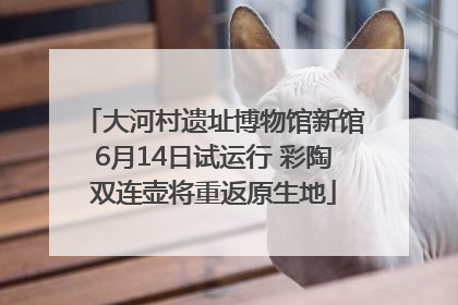 大河村遗址博物馆新馆6月14日试运行 彩陶双连壶将重返原生地