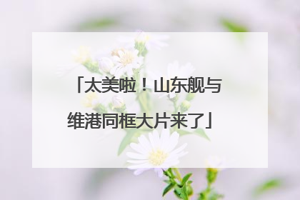 太美啦！山东舰与维港同框大片来了